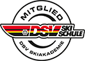 logo dsv
